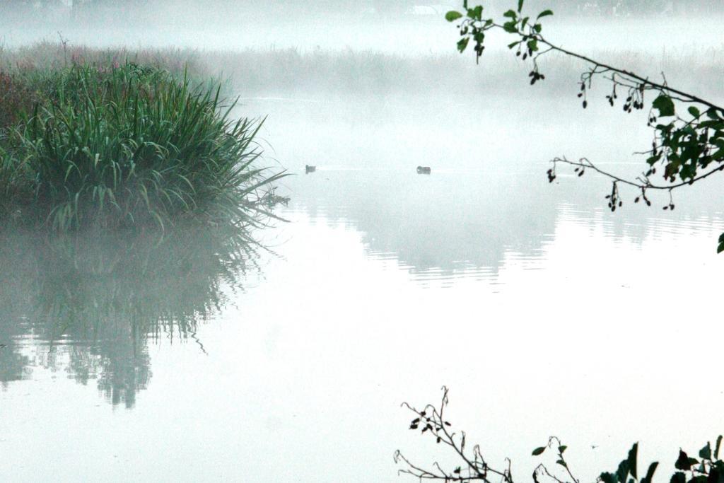 Gites Chambres D'Hotes Entre Terre & Mer Souvigny-en-Sologne Dış mekan fotoğraf